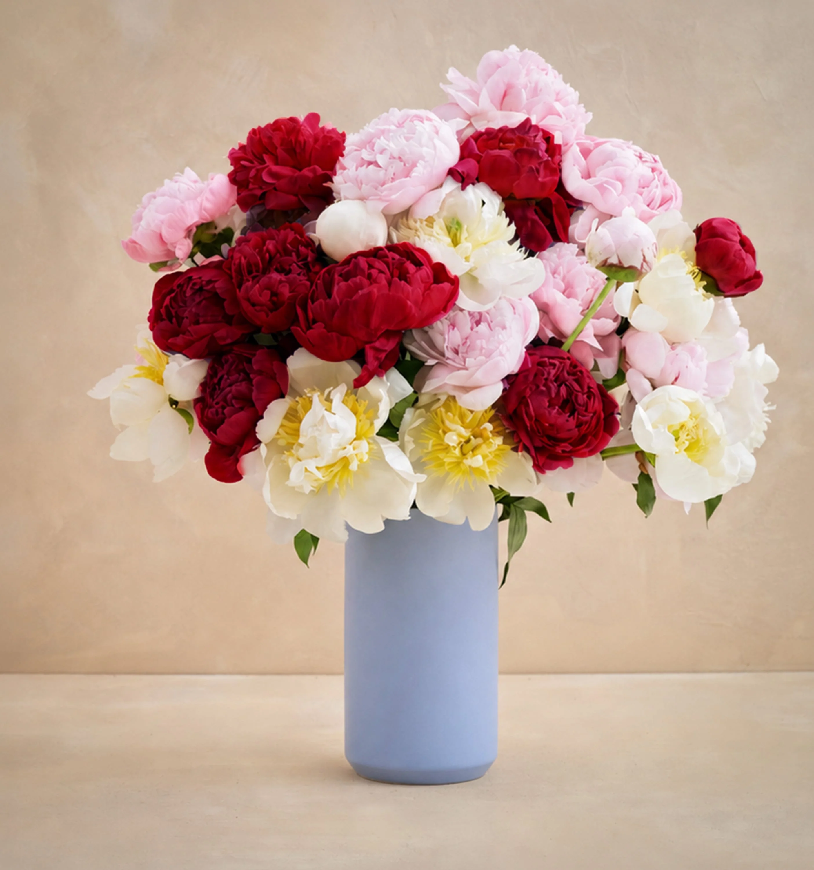 Triple The Alaskan Peony