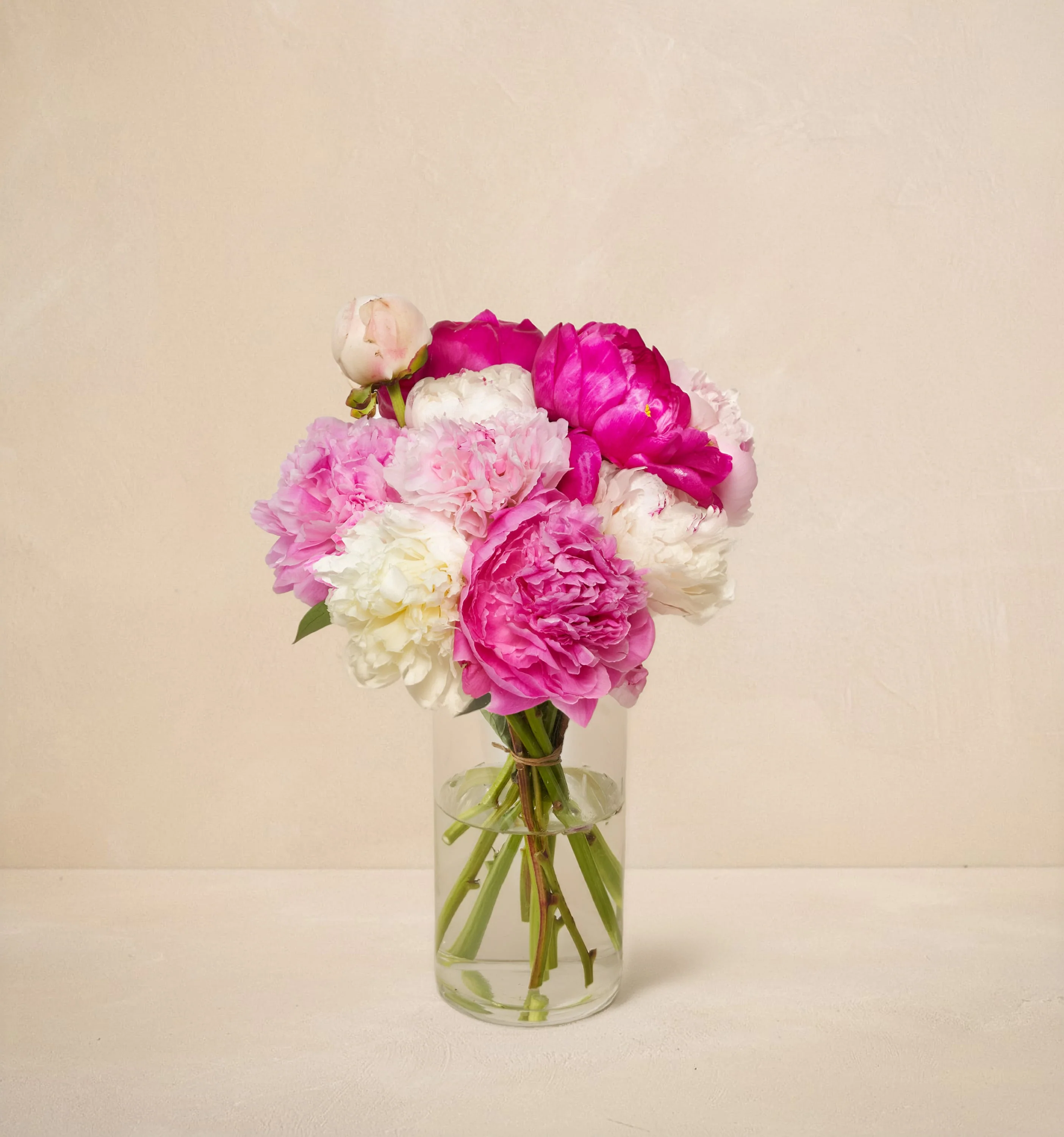 CL - The Grower's Choice Peony