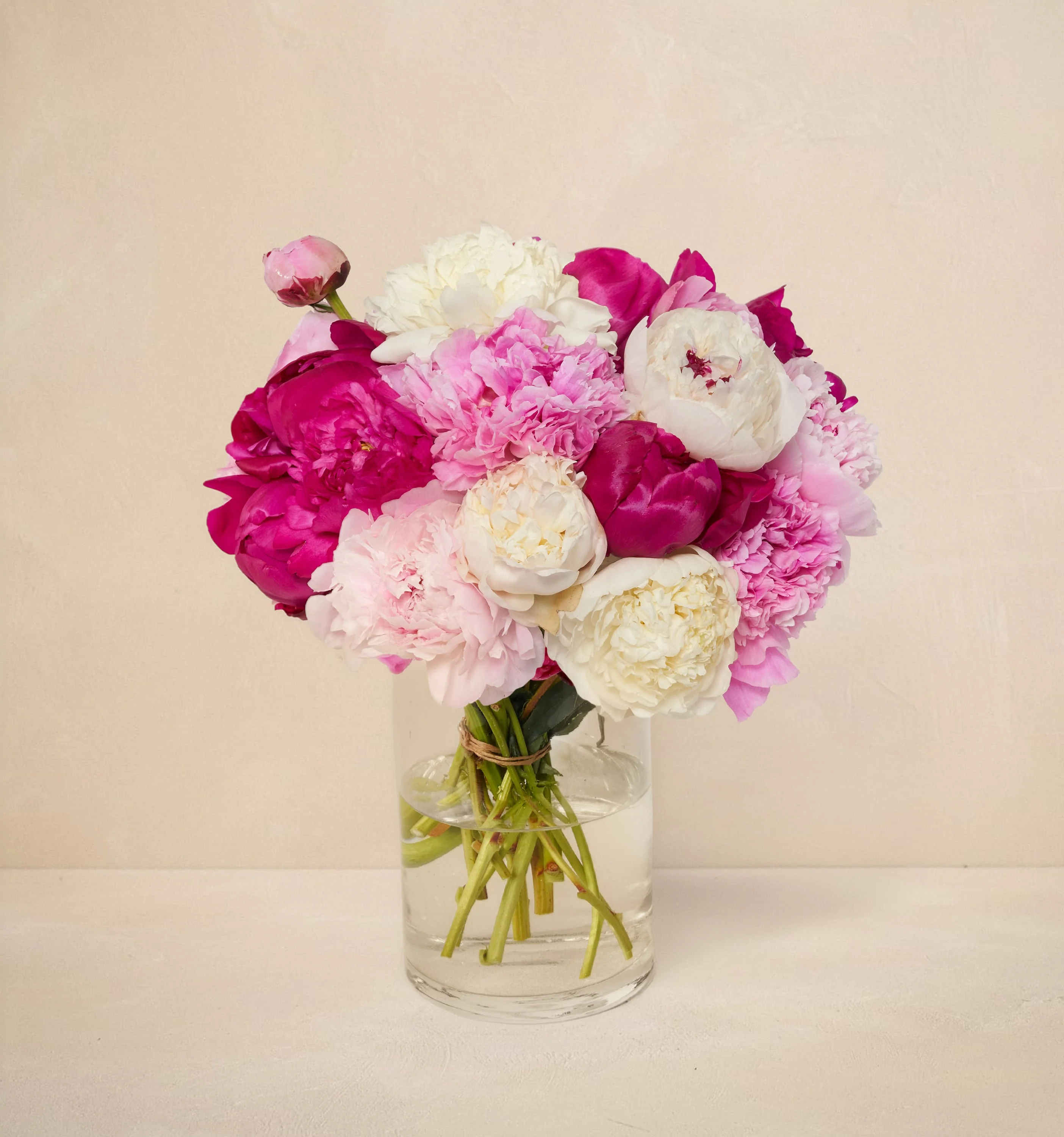 CL - The Grower's Choice Peony - Image 2