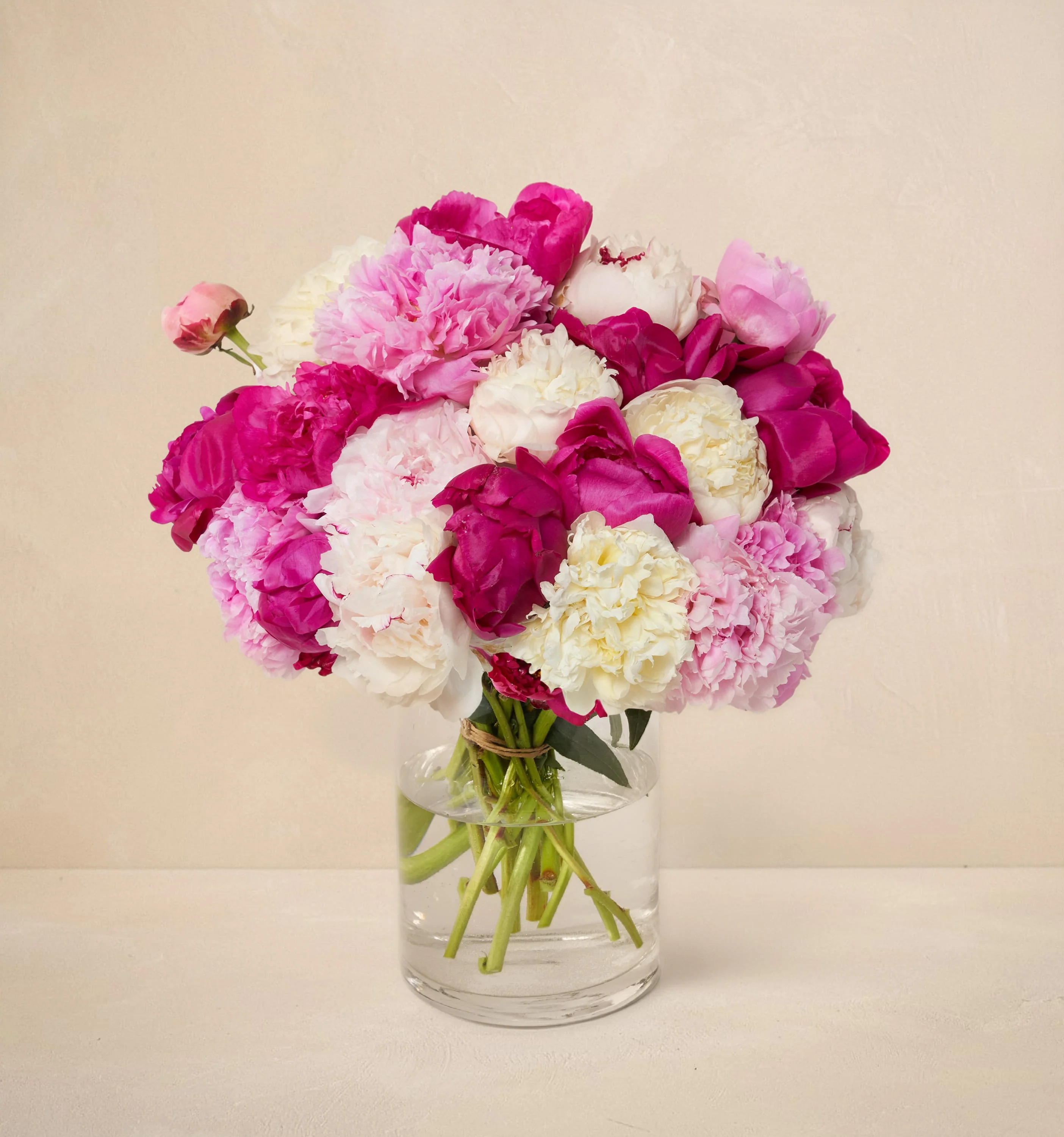 CL - The Grower's Choice Peony - Image 3